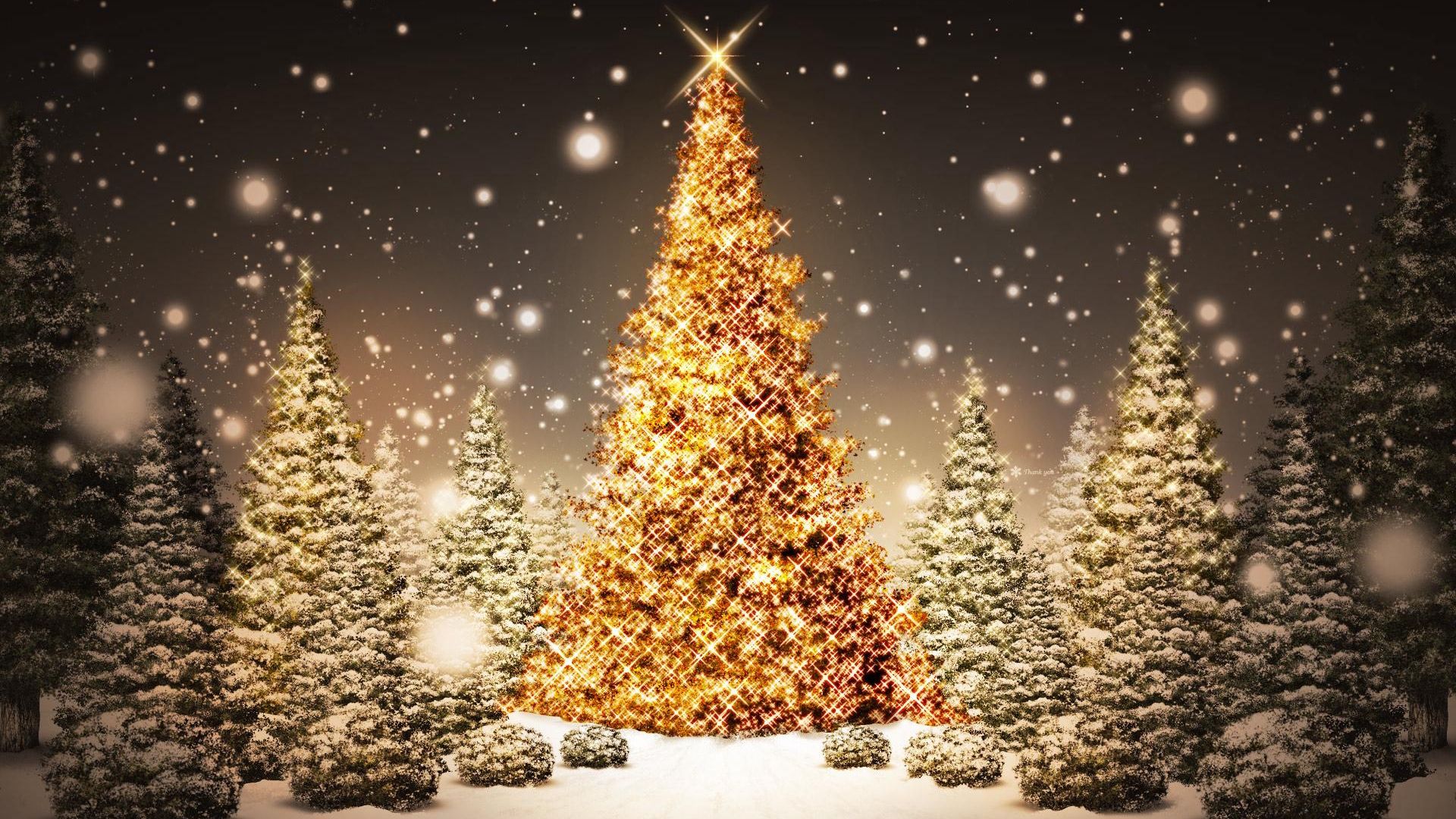 Noël